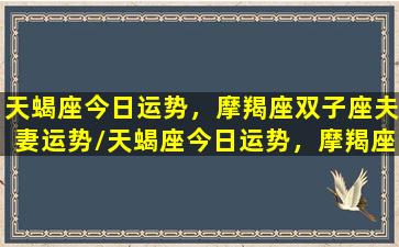 天蝎座今日运势，摩羯座双子座夫妻运势/天蝎座今日运势，摩羯座双子座夫妻运势-我的网站