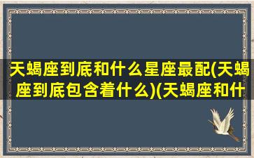 天蝎座到底和什么星座最配(天蝎座到底包含着什么)(天蝎座和什么星座最相配)