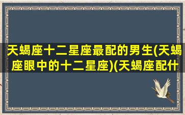 天蝎座十二星座最配的男生(天蝎座眼中的十二星座)(天蝎座配什么星座的男生最合适)