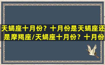 天蝎座十月份？十月份是天蝎座还是摩羯座/天蝎座十月份？十月份是天蝎座还是摩羯座-我的网站