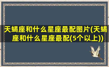 天蝎座和什么星座最配图片(天蝎座和什么星座最配(5个以上))(天蝎座和啥星座般配)