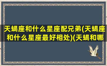 天蝎座和什么星座配兄弟(天蝎座和什么星座最好相处)(天蝎和哪个星座搭配)