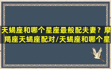 天蝎座和哪个星座最般配夫妻？摩羯座天蝎座配对/天蝎座和哪个星座最般配夫妻？摩羯座天蝎座配对-我的网站