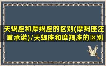 天蝎座和摩羯座的区别(摩羯座注重承诺)/天蝎座和摩羯座的区别(摩羯座注重承诺)-我的网站