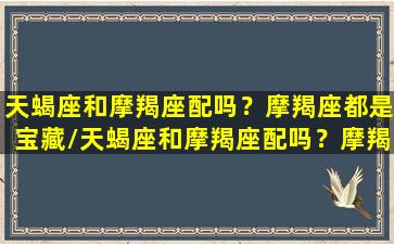 天蝎座和摩羯座配吗？摩羯座都是宝藏/天蝎座和摩羯座配吗？摩羯座都是宝藏-我的网站