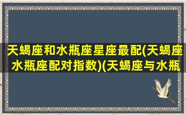 天蝎座和水瓶座星座最配(天蝎座水瓶座配对指数)(天蝎座与水瓶座的配对指数)