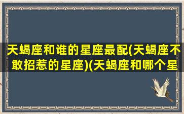 天蝎座和谁的星座最配(天蝎座不敢招惹的星座)(天蝎座和哪个星座最搭)