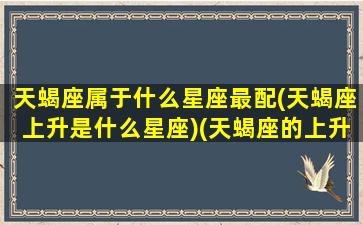 天蝎座属于什么星座最配(天蝎座上升是什么星座)(天蝎座的上升星座是哪个星座)