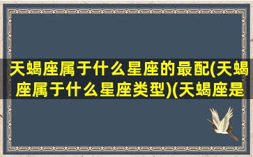 天蝎座属于什么星座的最配(天蝎座属于什么星座类型)(天蝎座是属什么星座)