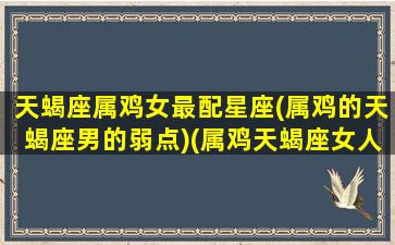 天蝎座属鸡女最配星座(属鸡的天蝎座男的弱点)(属鸡天蝎座女人)