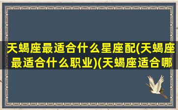 天蝎座最适合什么星座配(天蝎座最适合什么职业)(天蝎座适合哪些星座)