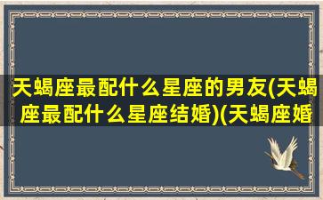 天蝎座最配什么星座的男友(天蝎座最配什么星座结婚)(天蝎座婚配什么星座最佳)