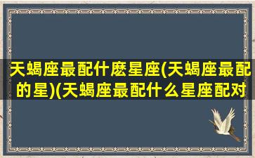 天蝎座最配什麽星座(天蝎座最配的星)(天蝎座最配什么星座配对)