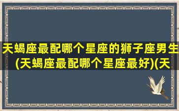 天蝎座最配哪个星座的狮子座男生(天蝎座最配哪个星座最好)(天蝎座狮子座合适吗)