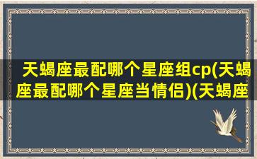 天蝎座最配哪个星座组cp(天蝎座最配哪个星座当情侣)(天蝎座和哪个星座最配成为男女朋友)