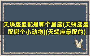 天蝎座最配是哪个星座(天蝎座最配哪个小动物)(天蝎座最配的)