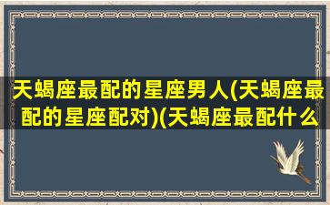 天蝎座最配的星座男人(天蝎座最配的星座配对)(天蝎座最配什么座的男朋友)
