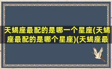 天蝎座最配的是哪一个星座(天蝎座最配的是哪个星座)(天蝎座最搭配的星座是哪一个星座)