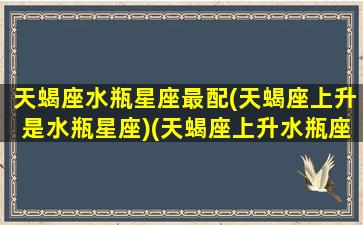 天蝎座水瓶星座最配(天蝎座上升是水瓶星座)(天蝎座上升水瓶座是什么意思)