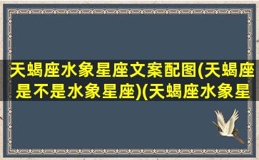 天蝎座水象星座文案配图(天蝎座是不是水象星座)(天蝎座水象星座之首)