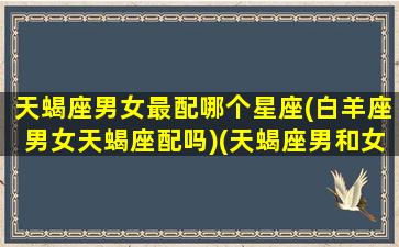 天蝎座男女最配哪个星座(白羊座男女天蝎座配吗)(天蝎座男和女白羊配吗)