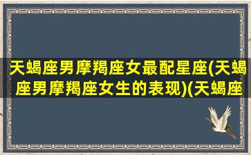 天蝎座男摩羯座女最配星座(天蝎座男摩羯座女生的表现)(天蝎座男摩羯女配对)