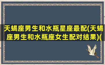 天蝎座男生和水瓶星座最配(天蝎座男生和水瓶座女生配对结果)(天蝎座男生和水瓶座女生配对指数)