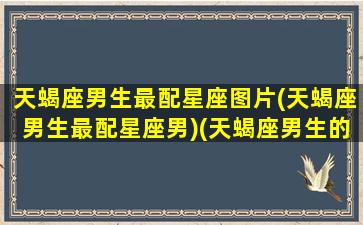 天蝎座男生最配星座图片(天蝎座男生最配星座男)(天蝎座男生的最配星座)