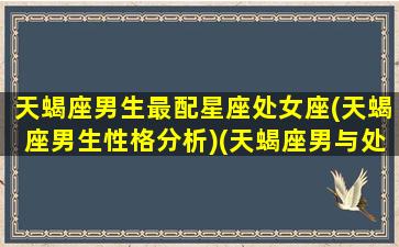 天蝎座男生最配星座处女座(天蝎座男生性格分析)(天蝎座男与处女座的配对指数)