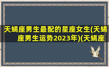 天蝎座男生最配的星座女生(天蝎座男生运势2023年)(天蝎座男生最佳配对)