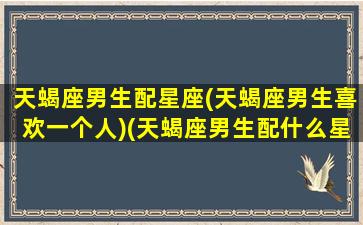 天蝎座男生配星座(天蝎座男生喜欢一个人)(天蝎座男生配什么星座的女生好)