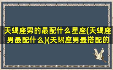 天蝎座男的最配什么星座(天蝎座男最配什么)(天蝎座男最搭配的星座)