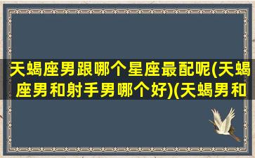 天蝎座男跟哪个星座最配呢(天蝎座男和射手男哪个好)(天蝎男和射手男哪个更受欢迎)