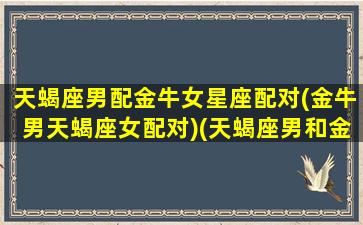 天蝎座男配金牛女星座配对(金牛男天蝎座女配对)(天蝎座男和金牛女匹配度是多少)