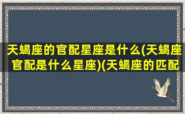 天蝎座的官配星座是什么(天蝎座官配是什么星座)(天蝎座的匹配星座配对)