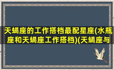 天蝎座的工作搭档最配星座(水瓶座和天蝎座工作搭档)(天蝎座与12星座的工作搭档)