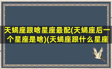 天蝎座跟啥星座最配(天蝎座后一个星座是啥)(天蝎座跟什么星座般配)