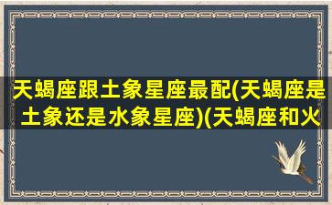 天蝎座跟土象星座最配(天蝎座是土象还是水象星座)(天蝎座和火象星座配吗)