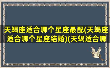 天蝎座适合哪个星座最配(天蝎座适合哪个星座结婚)(天蝎适合哪个星座配对)