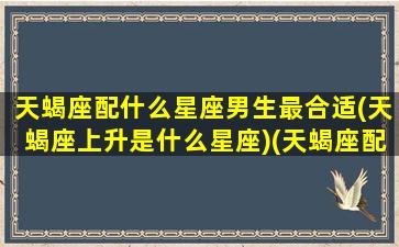 天蝎座配什么星座男生最合适(天蝎座上升是什么星座)(天蝎座配什么星座的男生)