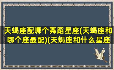 天蝎座配哪个舞蹈星座(天蝎座和哪个座最配)(天蝎座和什么星座最适合)
