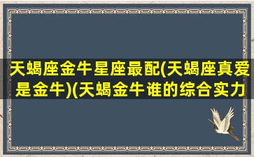 天蝎座金牛星座最配(天蝎座真爱是金牛)(天蝎金牛谁的综合实力强)