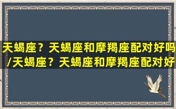 天蝎座？天蝎座和摩羯座配对好吗/天蝎座？天蝎座和摩羯座配对好吗-我的网站