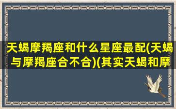 天蝎摩羯座和什么星座最配(天蝎与摩羯座合不合)(其实天蝎和摩羯才是绝配)