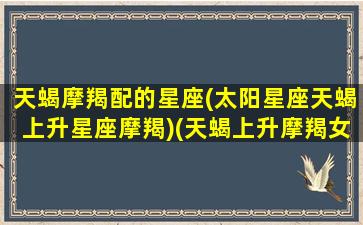 天蝎摩羯配的星座(太阳星座天蝎上升星座摩羯)(天蝎上升摩羯女和什么星座配)