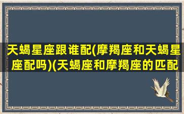 天蝎星座跟谁配(摩羯座和天蝎星座配吗)(天蝎座和摩羯座的匹配度是多少)