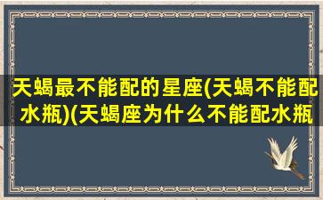 天蝎最不能配的星座(天蝎不能配水瓶)(天蝎座为什么不能配水瓶)