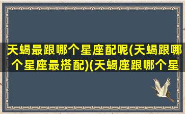 天蝎最跟哪个星座配呢(天蝎跟哪个星座最搭配)(天蝎座跟哪个星座最合得来)