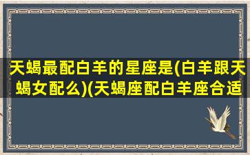 天蝎最配白羊的星座是(白羊跟天蝎女配么)(天蝎座配白羊座合适吗)