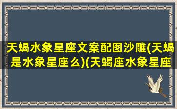 天蝎水象星座文案配图沙雕(天蝎是水象星座么)(天蝎座水象星座之首)